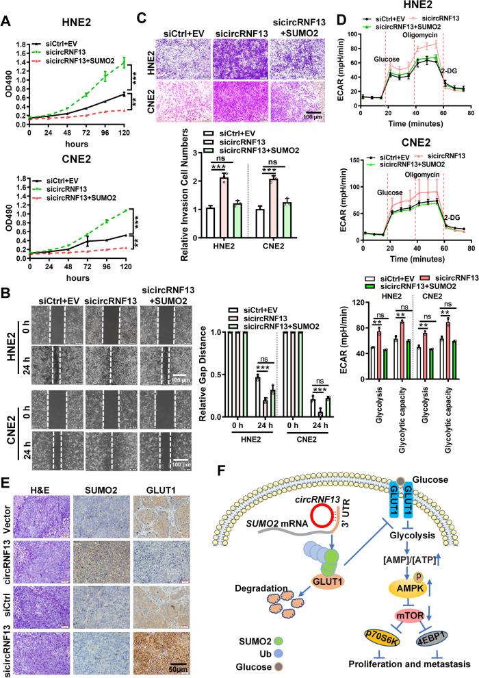 https://cdn.ncbi.nlm.nih.gov/pmc/blobs/750c/8406723/d381b3fe7791/12943_2021_1409_Fig8_HTML.jpg