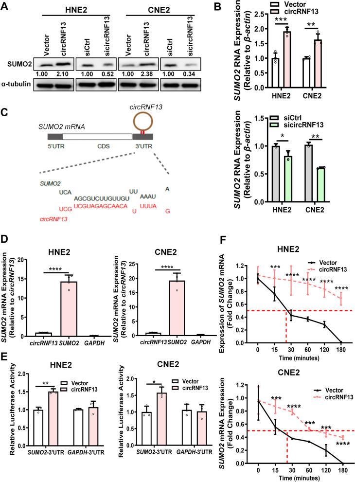 https://cdn.ncbi.nlm.nih.gov/pmc/blobs/750c/8406723/f89d90ef06ac/12943_2021_1409_Fig6_HTML.jpg