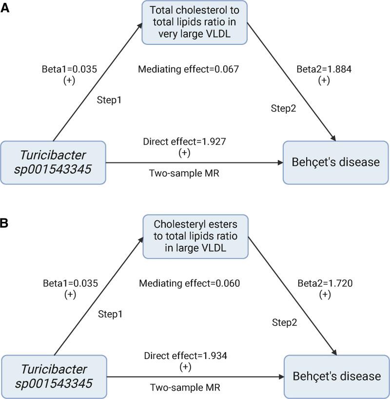 https://cdn.ncbi.nlm.nih.gov/pmc/blobs/750d/12338280/16593605b295/medi-104-e42698-g006.jpg