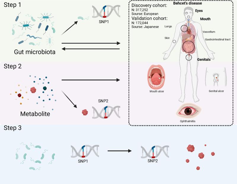 https://cdn.ncbi.nlm.nih.gov/pmc/blobs/750d/12338280/9b3775f914b0/medi-104-e42698-g001.jpg
