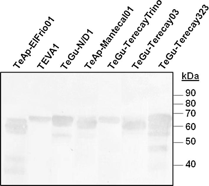 https://cdn.ncbi.nlm.nih.gov/pmc/blobs/7511/4303646/41a7cba39a65/gr1.jpg