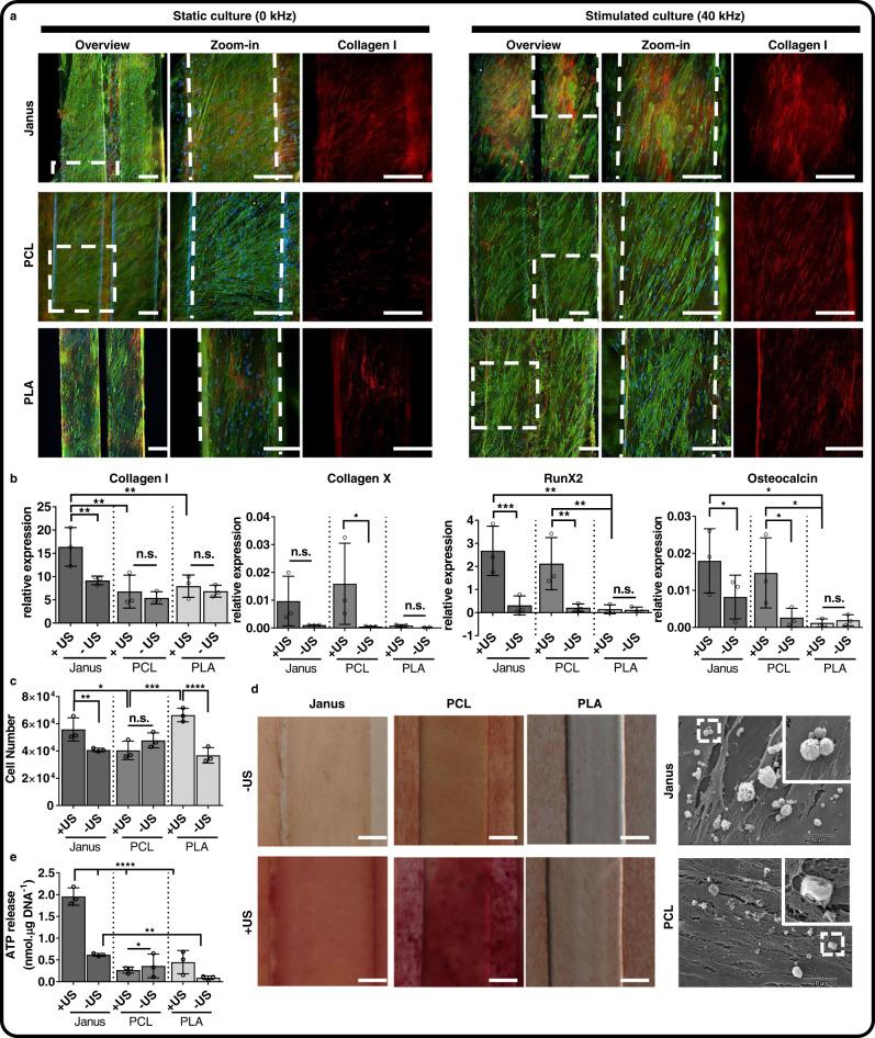 https://cdn.ncbi.nlm.nih.gov/pmc/blobs/7511/7884435/0076c38f9ecb/41467_2021_21325_Fig4_HTML.jpg