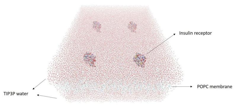https://cdn.ncbi.nlm.nih.gov/pmc/blobs/7511/8538819/176c3877371e/nanomaterials-11-02754-g004.jpg