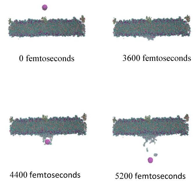 https://cdn.ncbi.nlm.nih.gov/pmc/blobs/7511/8538819/771d314e3ed6/nanomaterials-11-02754-g006.jpg