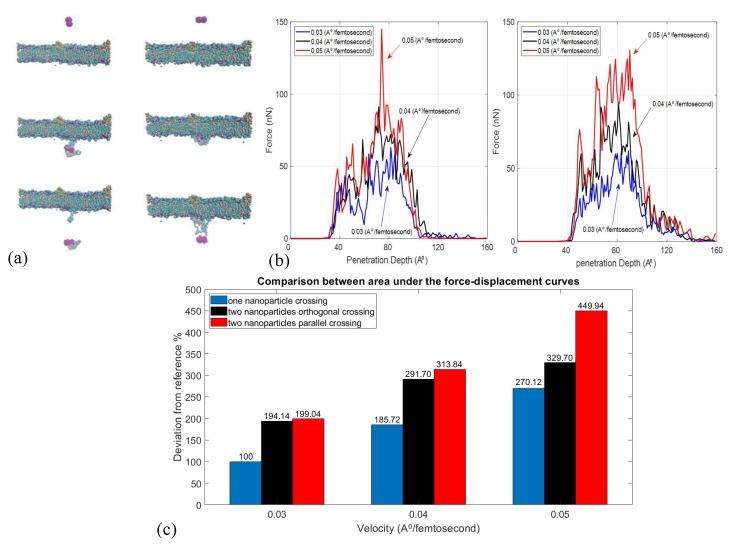 https://cdn.ncbi.nlm.nih.gov/pmc/blobs/7511/8538819/79b2c2d6d1ce/nanomaterials-11-02754-g007.jpg