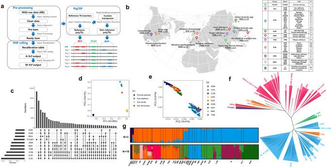 https://cdn.ncbi.nlm.nih.gov/pmc/blobs/7513/10471783/4040e01ac14c/42003_2023_5234_Fig6_HTML.jpg