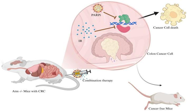 https://cdn.ncbi.nlm.nih.gov/pmc/blobs/7513/12347401/4e1c37065dfd/ijms-26-07350-g002.jpg