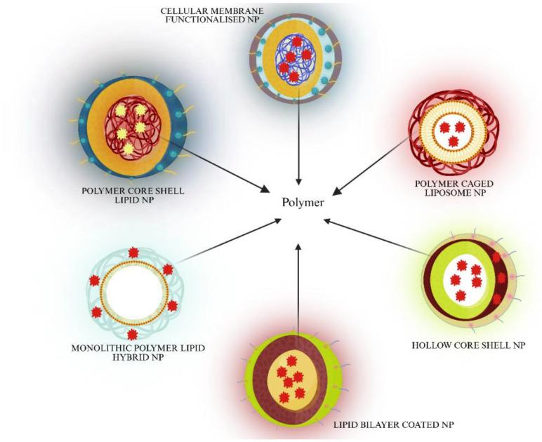 https://cdn.ncbi.nlm.nih.gov/pmc/blobs/7513/12347401/58dc835284ce/ijms-26-07350-g004.jpg