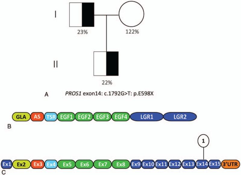 https://cdn.ncbi.nlm.nih.gov/pmc/blobs/7513/5959418/96daf9a4c443/medi-97-e0714-g002.jpg