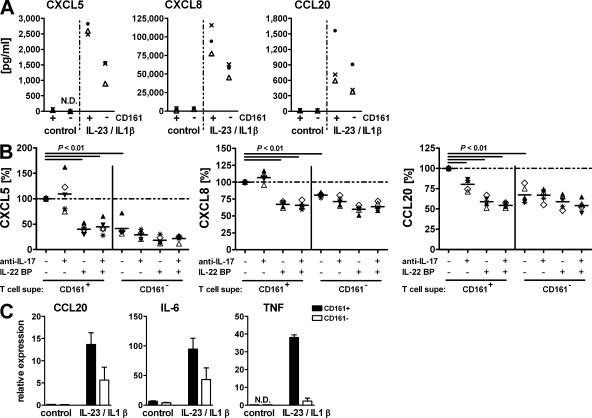 https://cdn.ncbi.nlm.nih.gov/pmc/blobs/7514/2699125/6779df03695a/JEM_20081712_LW_Fig5.jpg