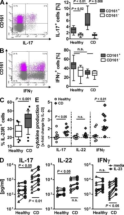 https://cdn.ncbi.nlm.nih.gov/pmc/blobs/7514/2699125/a097c5800e26/JEM_20081712_RGB_Fig2.jpg