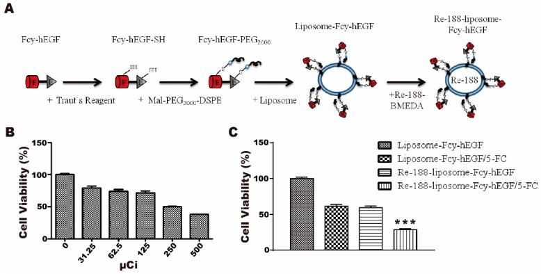 https://cdn.ncbi.nlm.nih.gov/pmc/blobs/7517/7918434/e6e813c52e1b/ijms-22-01902-g004.jpg