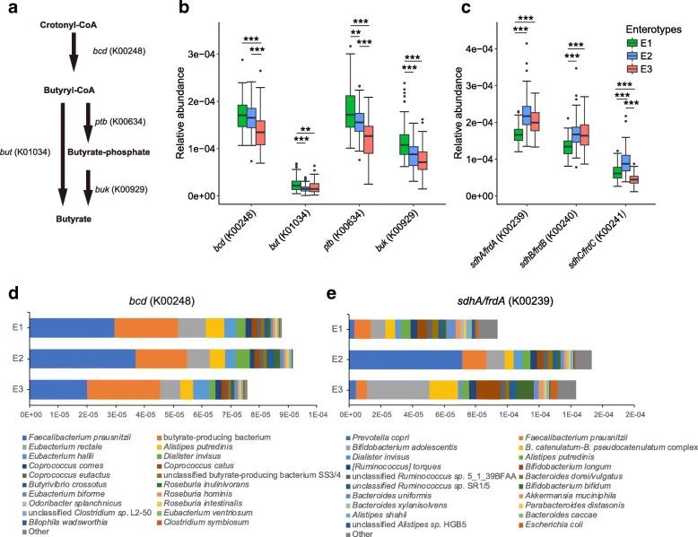 https://cdn.ncbi.nlm.nih.gov/pmc/blobs/7518/6320620/7eb935bf2a2b/40168_2018_608_Fig4_HTML.jpg
