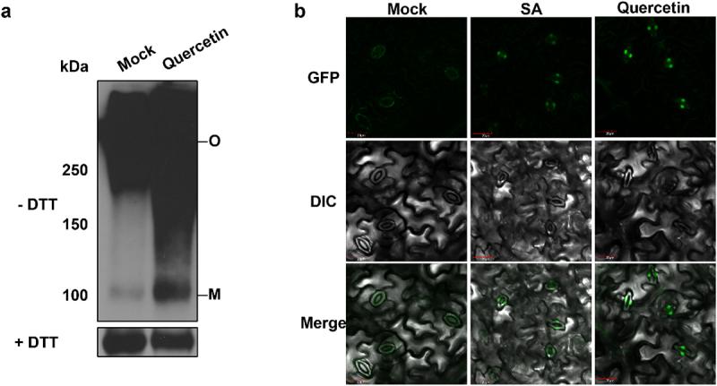 https://cdn.ncbi.nlm.nih.gov/pmc/blobs/7519/10761074/760871c505bb/KPSB_A_2270835_F0002_OC.jpg