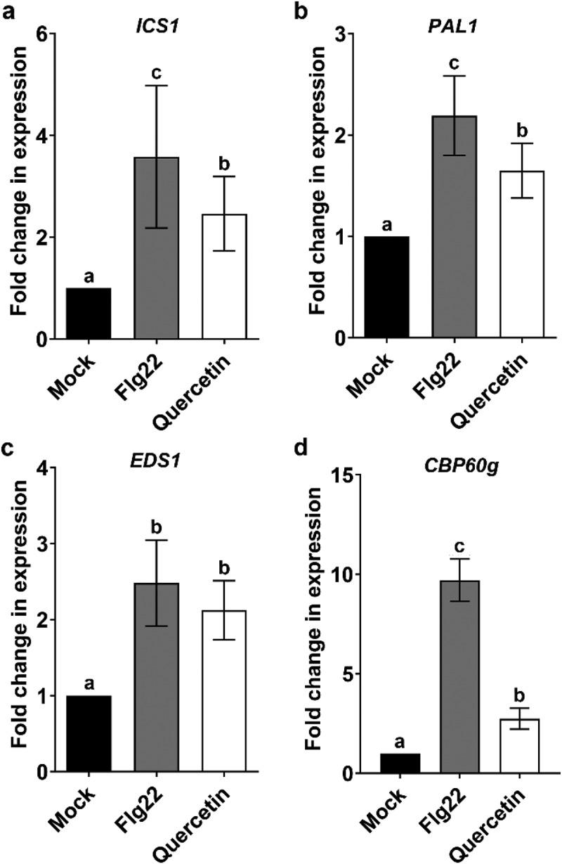 https://cdn.ncbi.nlm.nih.gov/pmc/blobs/7519/10761074/93844ab7fec7/KPSB_A_2270835_F0003_B.jpg