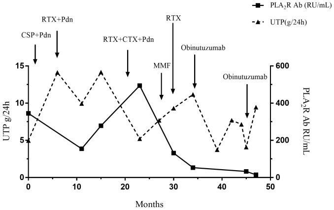 https://cdn.ncbi.nlm.nih.gov/pmc/blobs/751a/12037565/1a096026b6ee/fimmu-16-1561638-g001.jpg