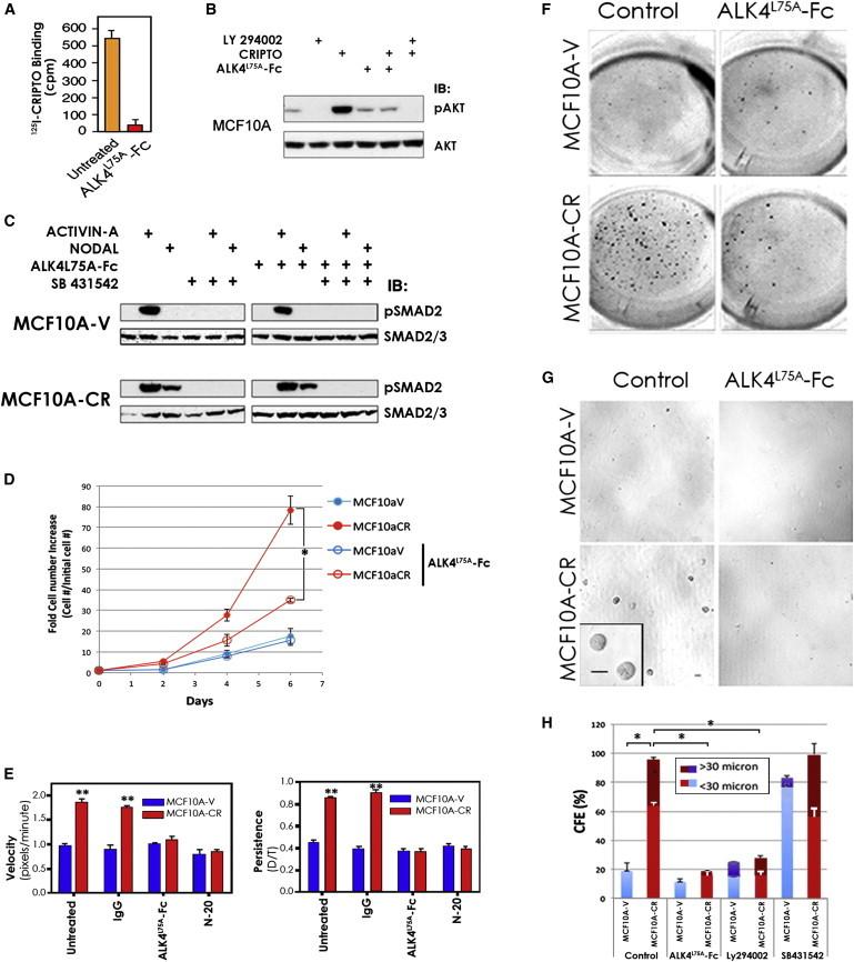 https://cdn.ncbi.nlm.nih.gov/pmc/blobs/751a/3986630/0c70d9f80499/gr1.jpg