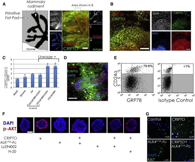 https://cdn.ncbi.nlm.nih.gov/pmc/blobs/751a/3986630/6e162713abdd/gr2.jpg