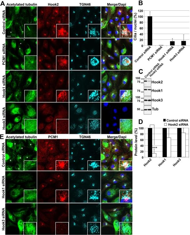https://cdn.ncbi.nlm.nih.gov/pmc/blobs/751b/3226474/4e5e873d8a5c/4549fig6.jpg