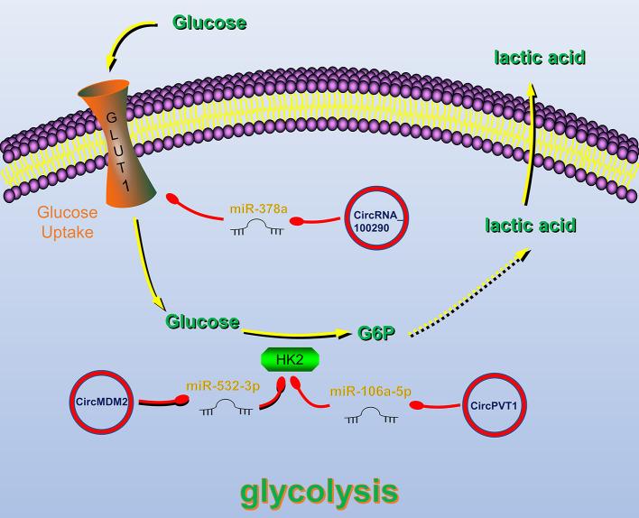 https://cdn.ncbi.nlm.nih.gov/pmc/blobs/751b/8117014/28bad40a782e/fonc-11-616202-g003.jpg