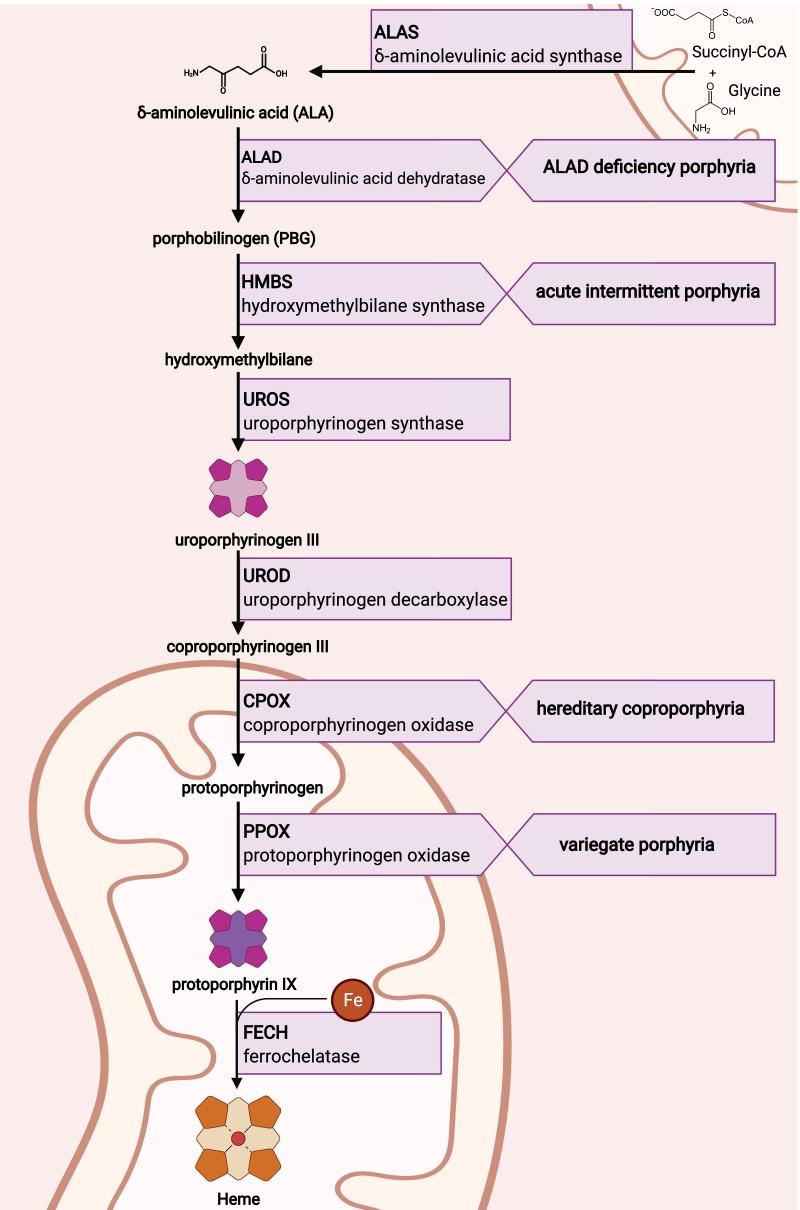 https://cdn.ncbi.nlm.nih.gov/pmc/blobs/751c/8991793/8d67922176c1/13023_2022_2314_Fig1_HTML.jpg