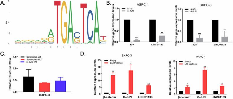 https://cdn.ncbi.nlm.nih.gov/pmc/blobs/751d/11237081/2c2964e95821/41419_2024_6876_Fig8_HTML.jpg