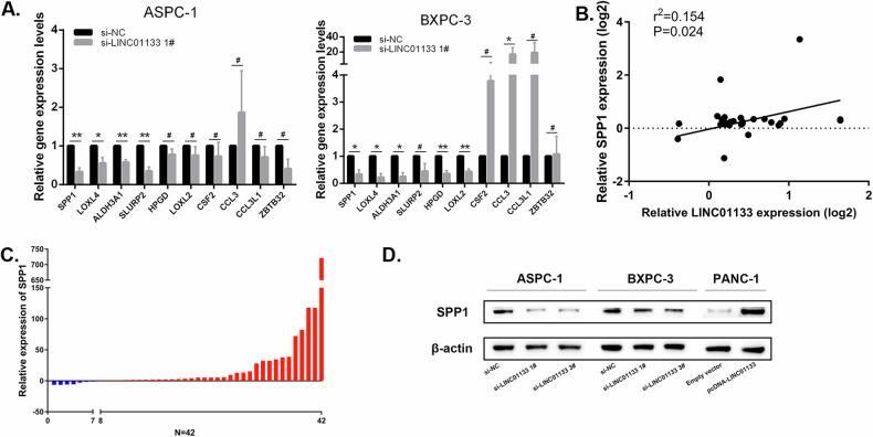 https://cdn.ncbi.nlm.nih.gov/pmc/blobs/751d/11237081/349e98b9b6da/41419_2024_6876_Fig5_HTML.jpg
