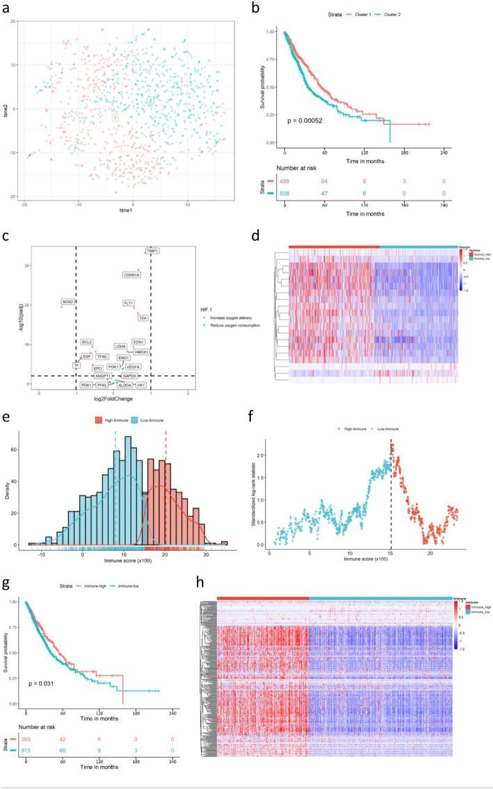 https://cdn.ncbi.nlm.nih.gov/pmc/blobs/751d/12321723/7993a2f3445b/12672_2025_3319_Fig1_HTML.jpg