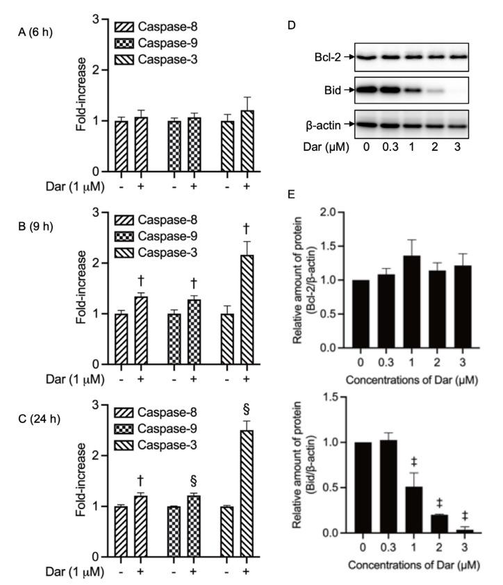 https://cdn.ncbi.nlm.nih.gov/pmc/blobs/7520/9916914/b2b56d1c5043/ijms-24-02282-g003.jpg