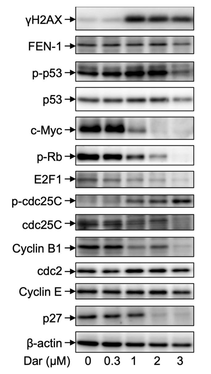 https://cdn.ncbi.nlm.nih.gov/pmc/blobs/7520/9916914/e168f8bd1c1d/ijms-24-02282-g007.jpg