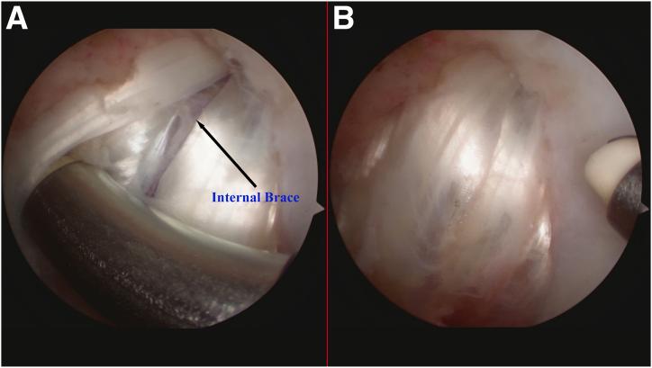 https://cdn.ncbi.nlm.nih.gov/pmc/blobs/7526/11662888/c74dbbd681f9/gr12.jpg