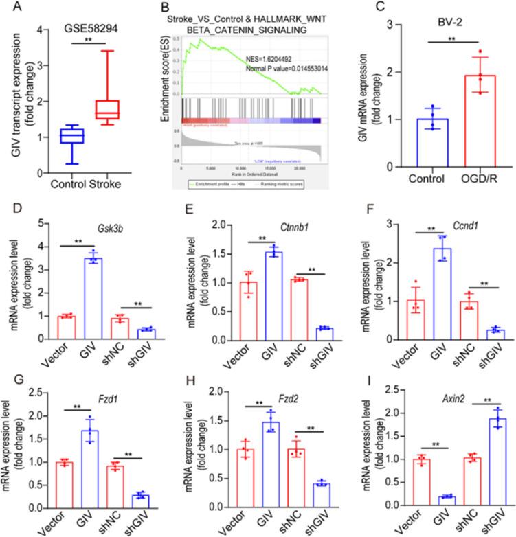 https://cdn.ncbi.nlm.nih.gov/pmc/blobs/7526/11953190/2061d5de6097/12035_2024_4604_Fig6_HTML.jpg