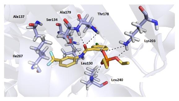https://cdn.ncbi.nlm.nih.gov/pmc/blobs/7527/4236894/2eca66fa879f/TSWJ2014-703053.003.jpg
