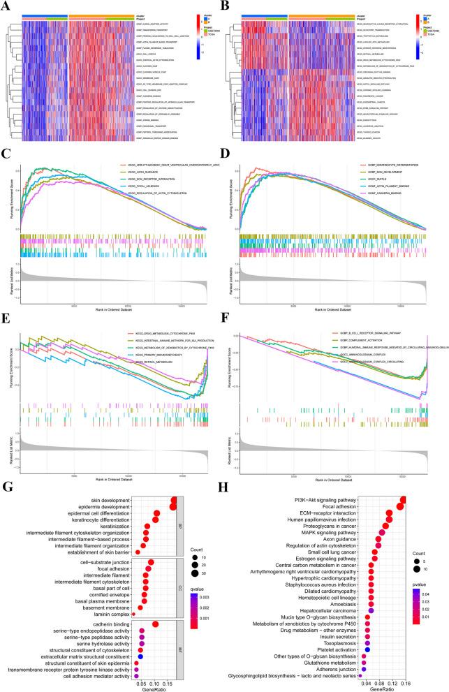 https://cdn.ncbi.nlm.nih.gov/pmc/blobs/7528/10860275/2576269f348c/13148_2024_1632_Fig4_HTML.jpg