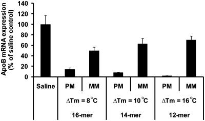https://cdn.ncbi.nlm.nih.gov/pmc/blobs/7529/2978335/5f4fdaf8093a/gkq457f1.jpg