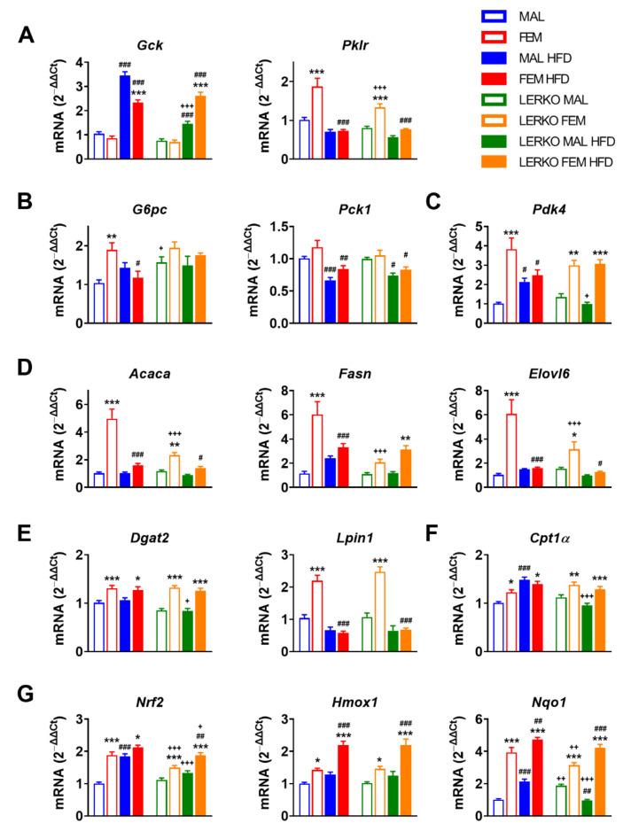 https://cdn.ncbi.nlm.nih.gov/pmc/blobs/752c/9416503/747b1c02943f/nutrients-14-03262-g005.jpg