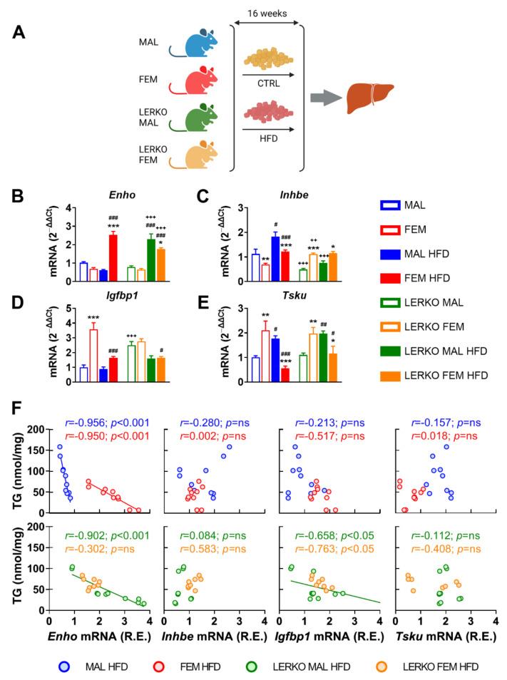 https://cdn.ncbi.nlm.nih.gov/pmc/blobs/752c/9416503/800f1e119448/nutrients-14-03262-g004.jpg