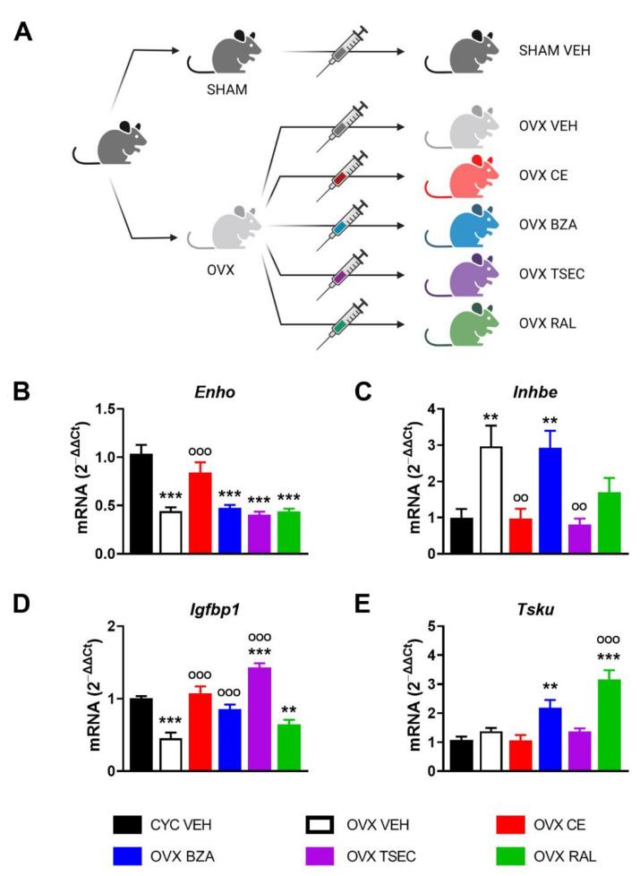 https://cdn.ncbi.nlm.nih.gov/pmc/blobs/752c/9416503/a7bc6bdb0da2/nutrients-14-03262-g003.jpg