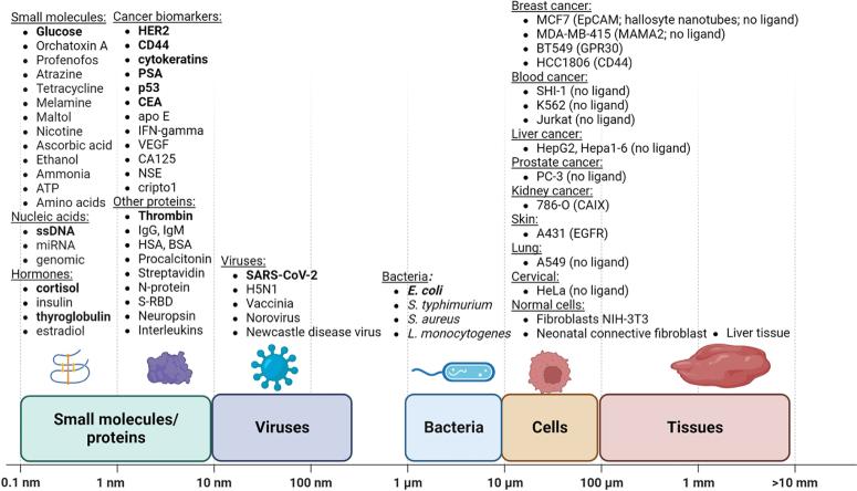 https://cdn.ncbi.nlm.nih.gov/pmc/blobs/752d/10942689/7ece17efc320/boe-15-3-1453-g002.jpg