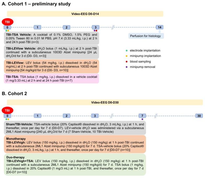 https://cdn.ncbi.nlm.nih.gov/pmc/blobs/752f/10531083/7a1f0d88bb35/ijms-24-14049-g008.jpg