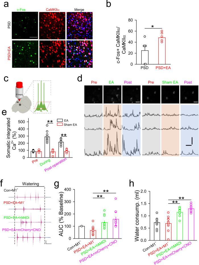 https://cdn.ncbi.nlm.nih.gov/pmc/blobs/7531/9925820/1399fb17bf63/41467_2023_36448_Fig3_HTML.jpg
