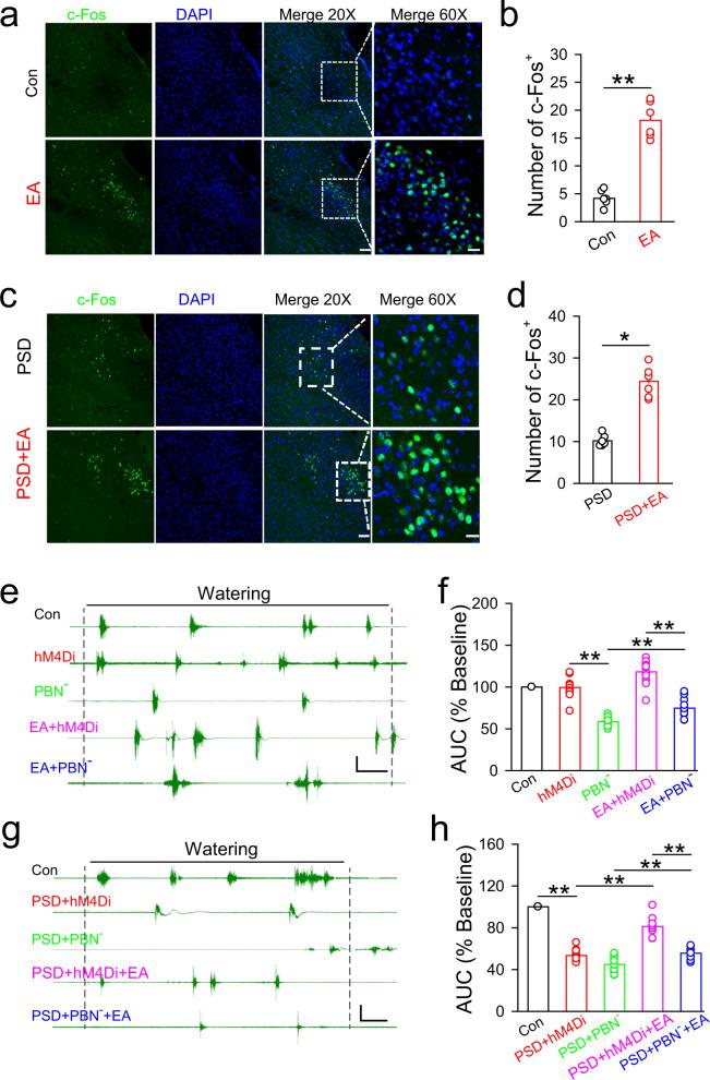 https://cdn.ncbi.nlm.nih.gov/pmc/blobs/7531/9925820/c1f93964d05d/41467_2023_36448_Fig4_HTML.jpg