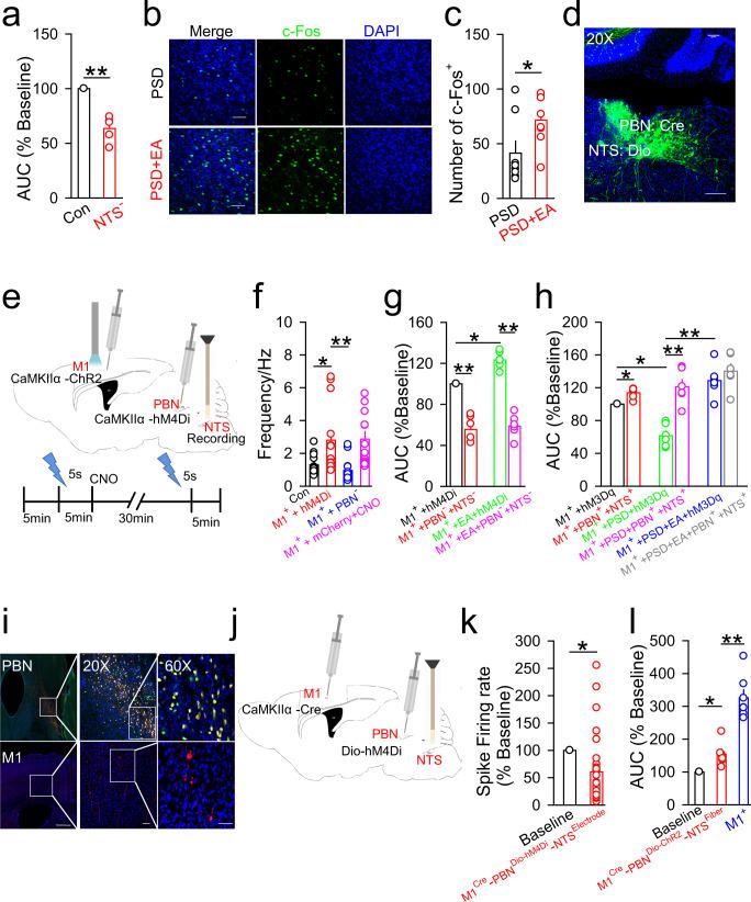 https://cdn.ncbi.nlm.nih.gov/pmc/blobs/7531/9925820/c9e1bd3d1ae5/41467_2023_36448_Fig6_HTML.jpg