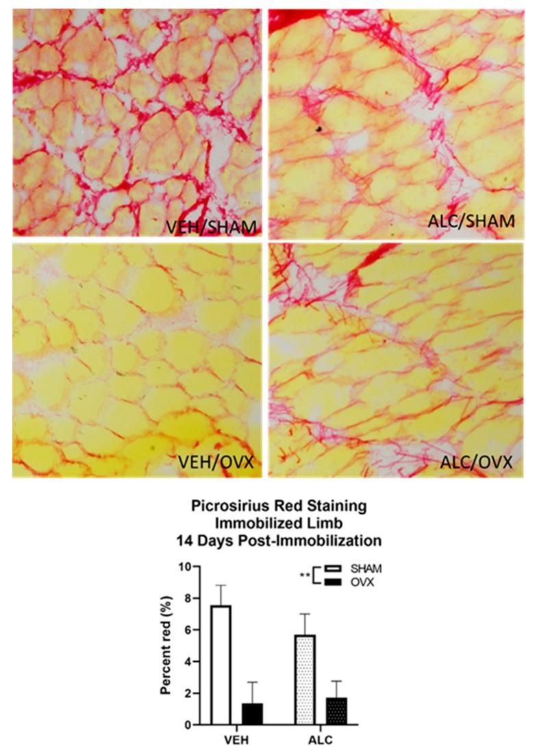 https://cdn.ncbi.nlm.nih.gov/pmc/blobs/7534/7175129/eb421b9c4ae2/biomolecules-10-00441-g005.jpg