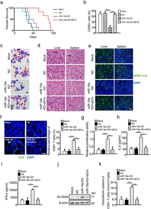 https://cdn.ncbi.nlm.nih.gov/pmc/blobs/7534/8607980/cb9c9aab36a5/JEV2-10-e12168-g005.jpg