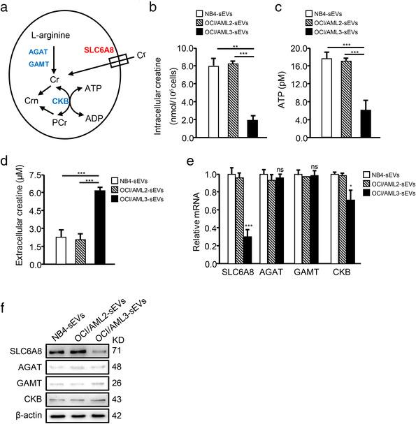https://cdn.ncbi.nlm.nih.gov/pmc/blobs/7534/8607980/ef7ee44e54cf/JEV2-10-e12168-g003.jpg