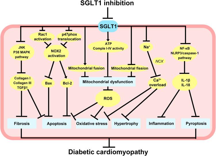 https://cdn.ncbi.nlm.nih.gov/pmc/blobs/7536/10332373/a2993431d4b5/DDDT-17-2011-g0003.jpg
