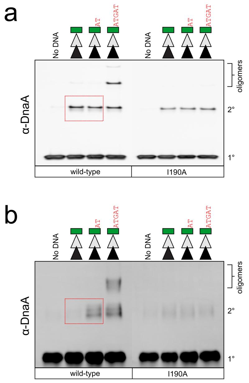 https://cdn.ncbi.nlm.nih.gov/pmc/blobs/7536/4913881/c0b826d393ae/emss-68322-f009.jpg