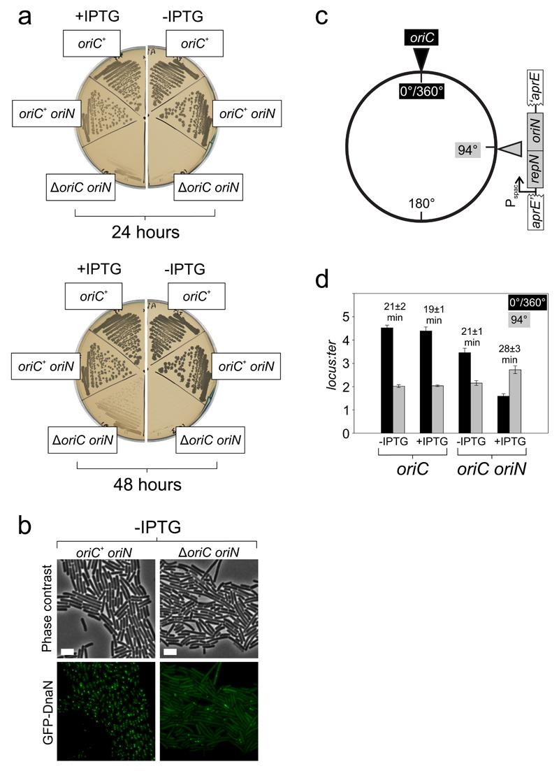 https://cdn.ncbi.nlm.nih.gov/pmc/blobs/7536/4913881/f740b74b131e/emss-68322-f006.jpg