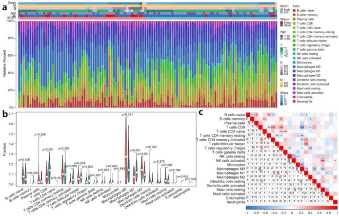 https://cdn.ncbi.nlm.nih.gov/pmc/blobs/7536/8582543/7b7ca3242740/cancers-13-05342-g005.jpg